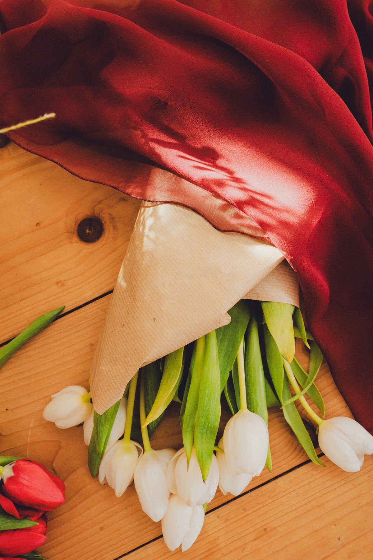 Voile de mariée lie-de-vin CANEZAN en mousseline avec un bouquet de tulipes